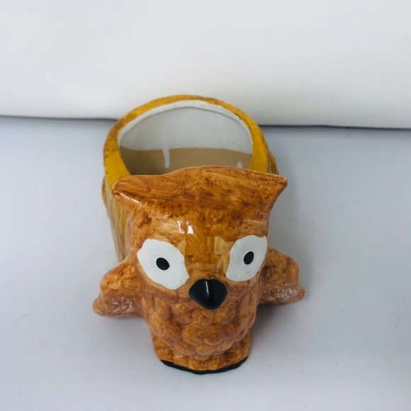 Mini Golden Brown Owl/Owlet Planter - Root Cuttings - Houseplants - Picture 3 of 8